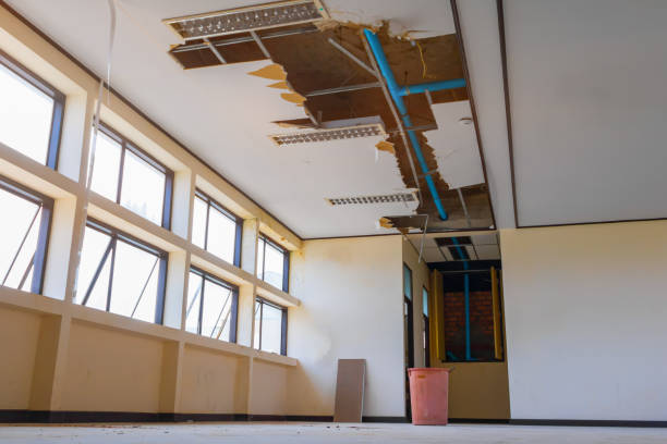 Best Flood restoration services  in Jasper, AL