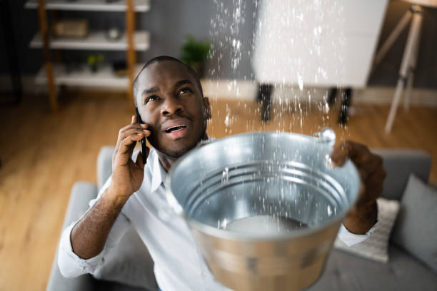Best Carpet water damage restoration  in Jasper, AL