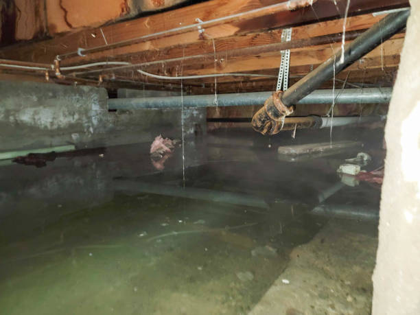Best Emergency water damage restoration  in Jasper, AL