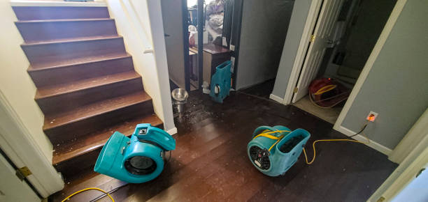 Water damage restoration experts in Jasper, AL