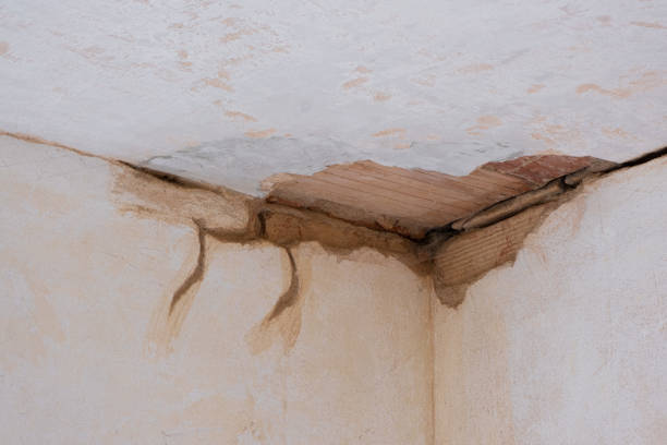 Best Flooded house restoration  in Jasper, AL