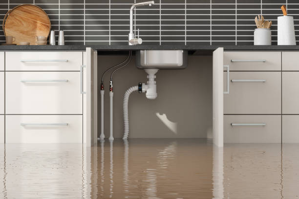 Best Local water damage restoration  in Jasper, AL
