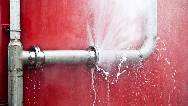 Best Water damage cleanup near me  in Jasper, AL